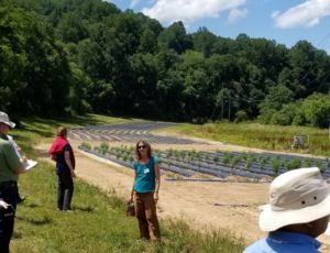 several people standing near a research hemp field