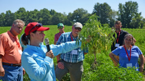 NC State Extension specialist Dr. Angela Post shows agents and directors a sample of a diseased hemp plant during a tour of Broadway Hemp's farm in Harnett County, North Carolina.